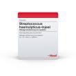 Streptococcus Haemolyticus Injeel Ampullen