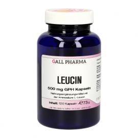 Leucin 500 mg Gph Kapseln