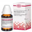 Rhus Toxicodendron D 6 Dilution