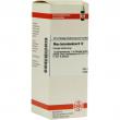 Rhus Toxicodendron D 12 Dilution